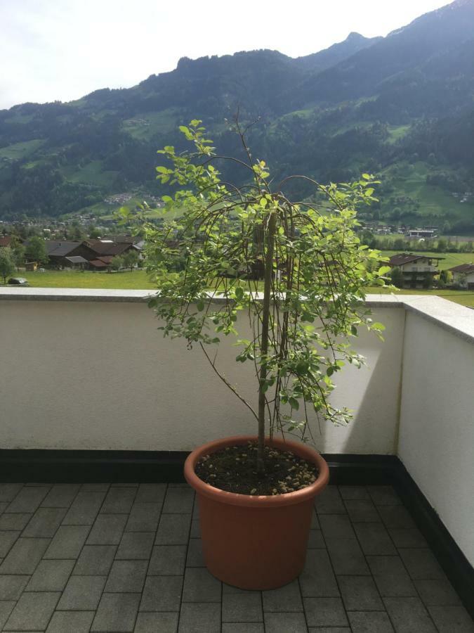 Ferienwohnung Walder 메이른호픈 외부 사진